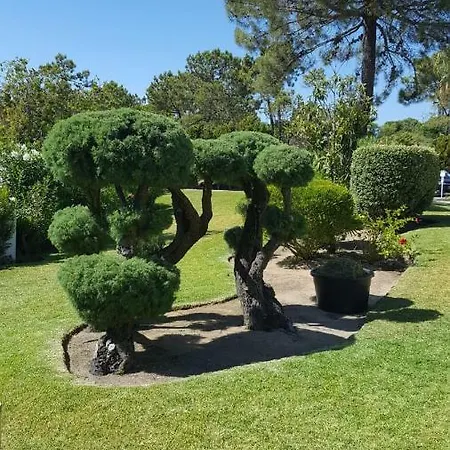 Victory Village Club, Quinta Do